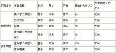 2017年淮北师范大学艺术类招生简章