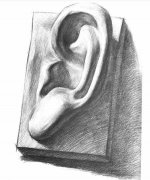 如何画石膏像的耳朵